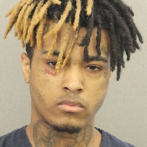 Meet your Posher, Oscar